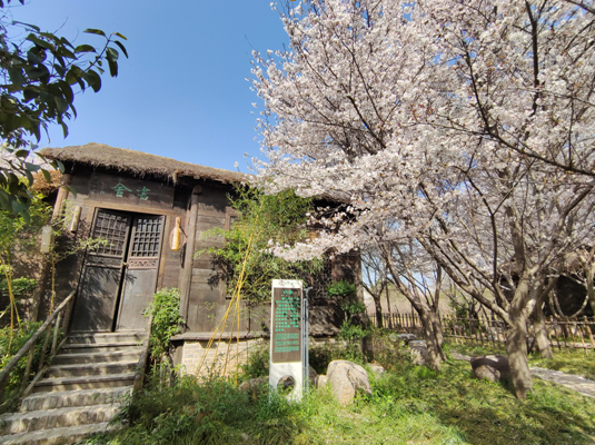 九号标识：以匠心铸就唐韵生态旅游区文化新地标
